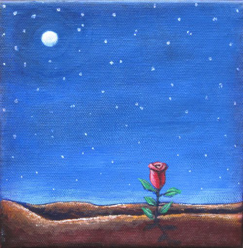A Little Desert Rose byu Jane Cassidy