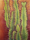 Cactus Thorns by Jane Cassidy
