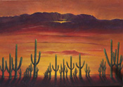 Saguaro Sunset by Jane Cassidy