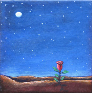 A Little Desert Rose by Jane Cassidy