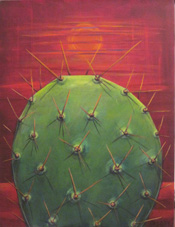 Cactus Sunset by Jane Cassidy