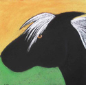 Black Pony by Carole Laroche
