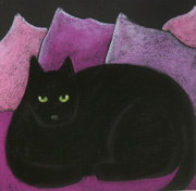 Black Cat on Pink Pillows by Carole Laroche