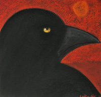 Young Desert Raven by Carole Laroche